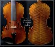 画像1: GCV-500A ５弦バイオリン◆C弦プラスで音域拡張！◆ストラディバリモデル (1)