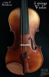 画像2: GCV-500A ５弦バイオリン◆C弦プラスで音域拡張！◆ストラディバリモデル (2)