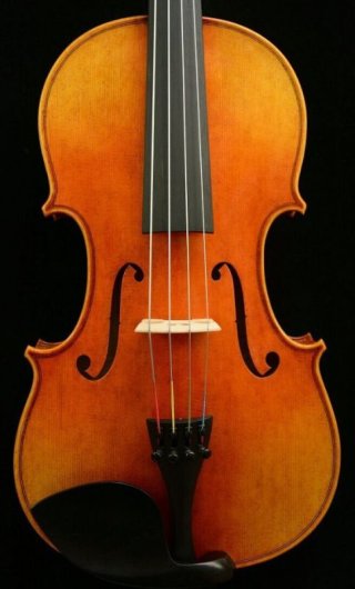 15 インチ　サイズ　ビオラ 15 インチ サイズ ビオラ